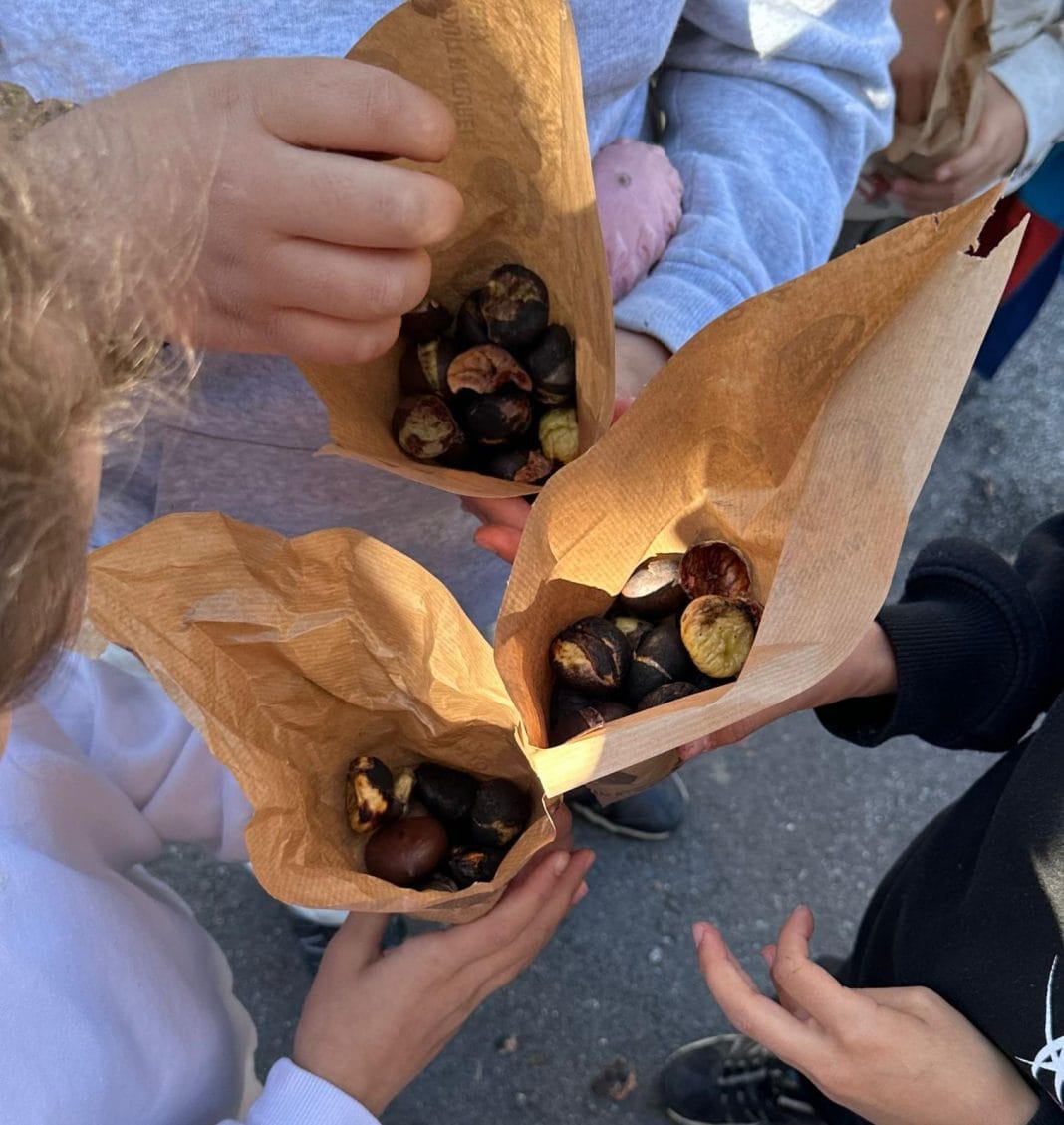 WhatsApp Image 2025-10-12 à 21.43.22_4c309a0e